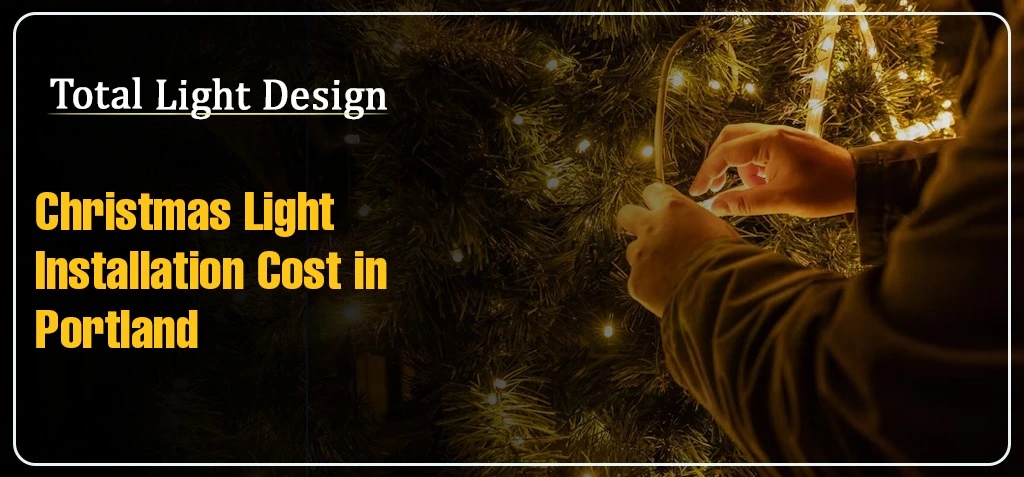 Christmas-Light-Installation